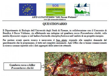 Questionario per azione D.2