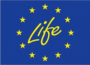 Unione Europea Life-300x200