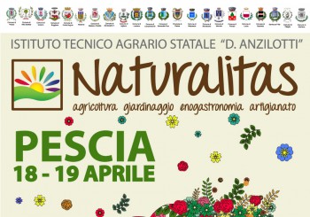 Naturalitas 2015